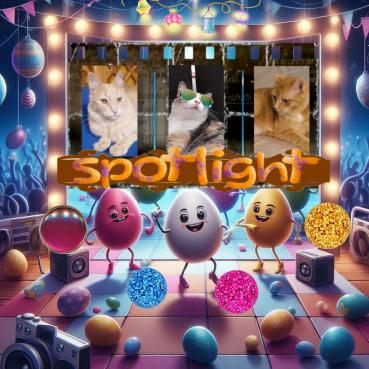 Kody of the Pcats224 family