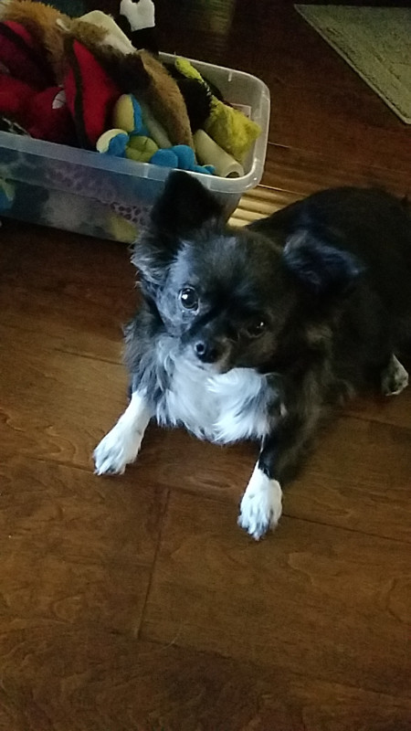 Pcats224 uploaded   6 year/s ago