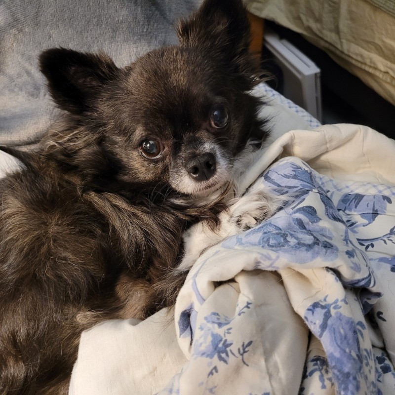 Pcats224 uploaded   2 year/s ago