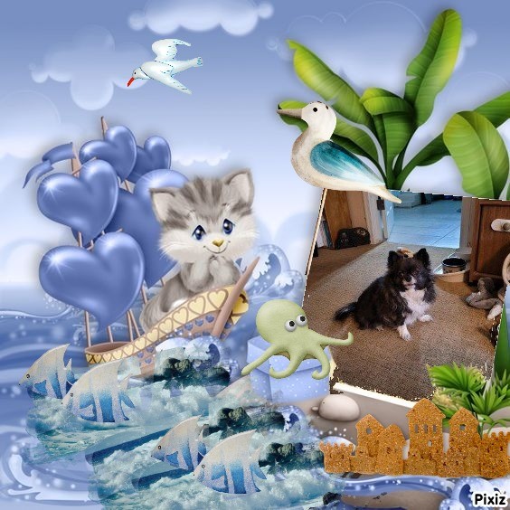 Bindy of the Pcats224 family