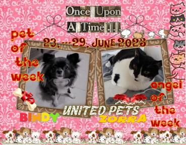 Bindy of the Pcats224 family