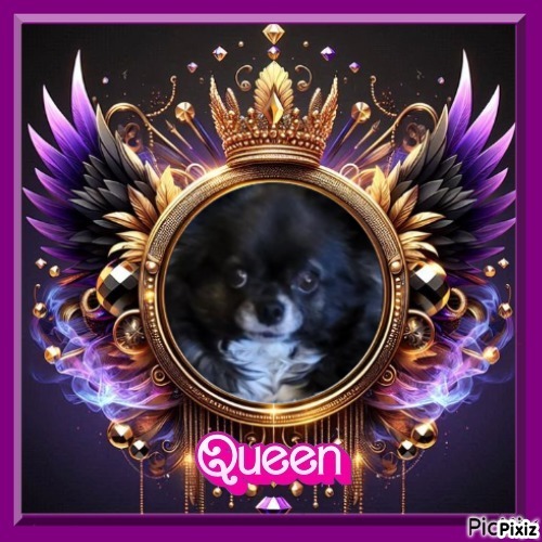 Bindy of the Pcats224 family