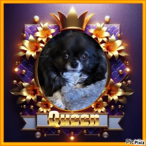 Bindy of the Pcats224 family