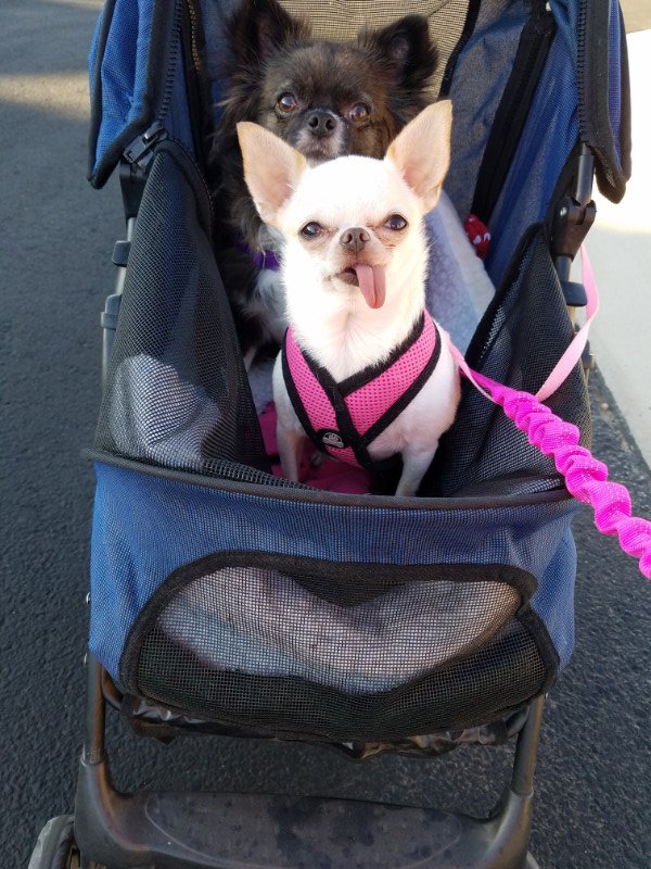 Pcats224 uploaded   6 year/s ago