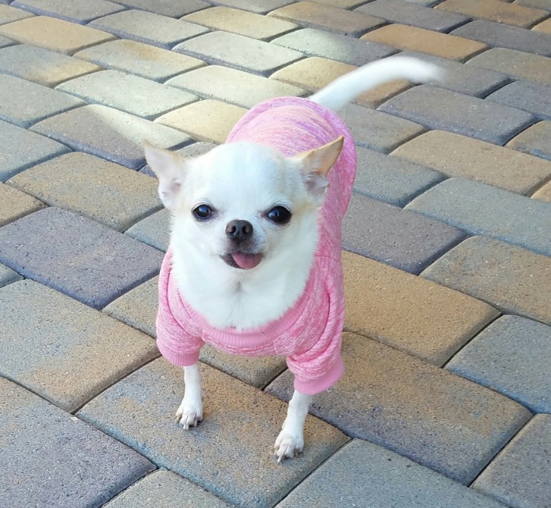 Pcats224 uploaded   5 year/s ago