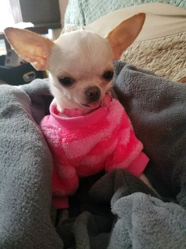 Pcats224 uploaded   3 year/s ago