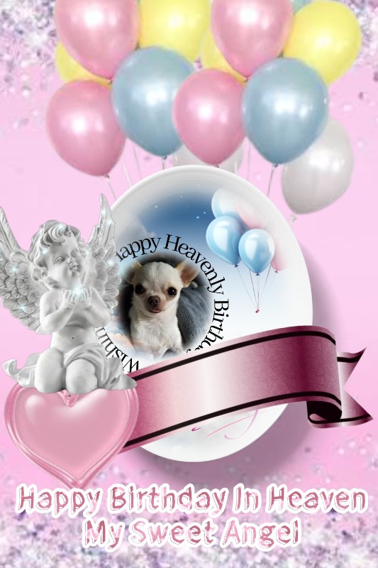 Angel Chloe of the Pcats224 family