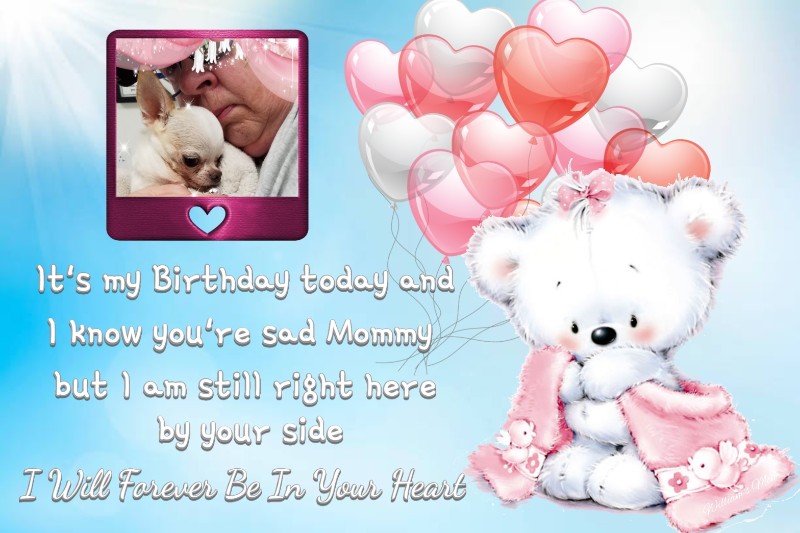 Angel Chloe of the Pcats224 family