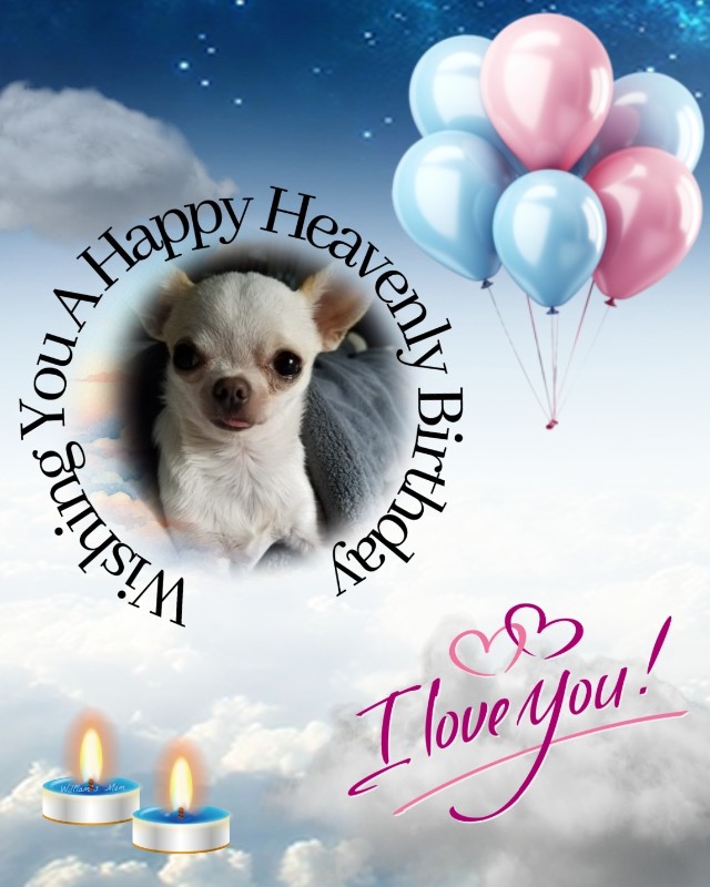 Angel Chloe of the Pcats224 family