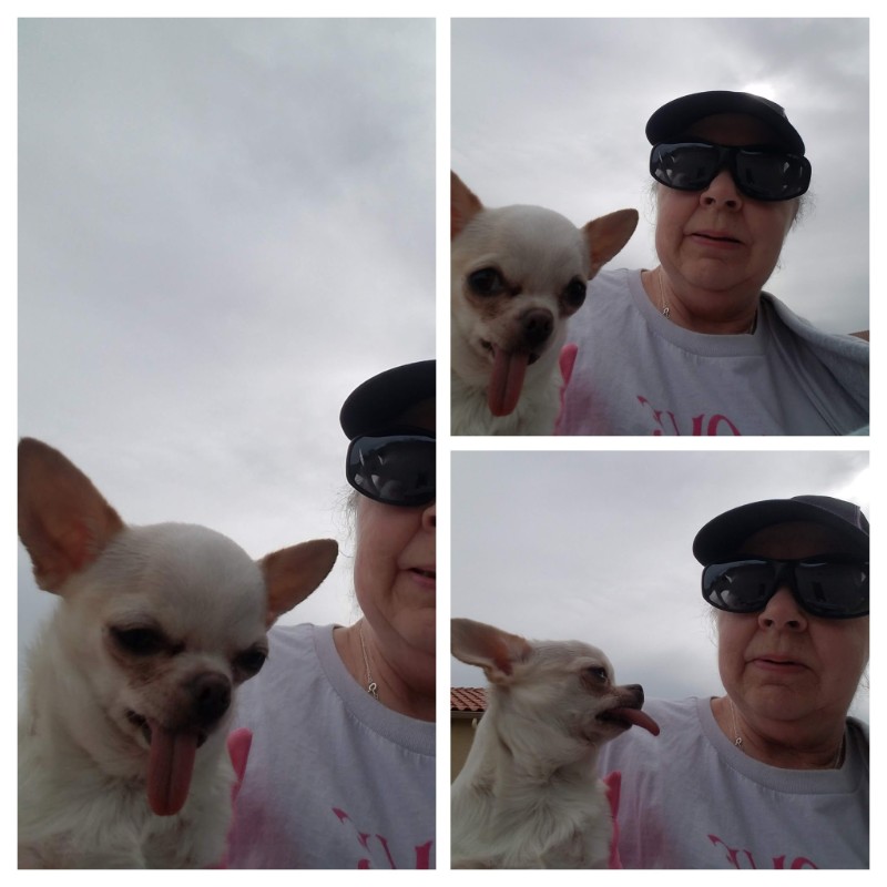 Angel Chloe of the Pcats224 family