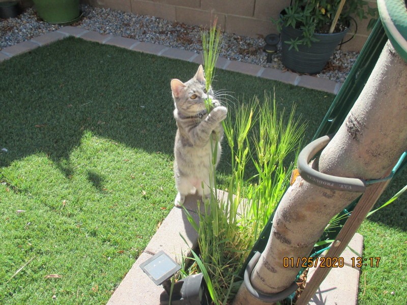 Pcats224 uploaded   6 year/s ago