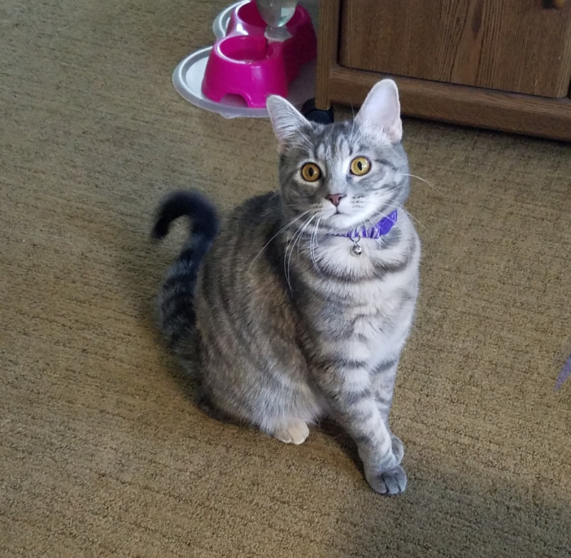 Pcats224 uploaded   5 year/s ago