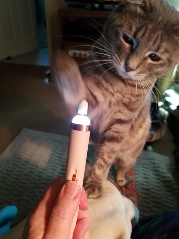 Pcats224 uploaded   4 year/s ago