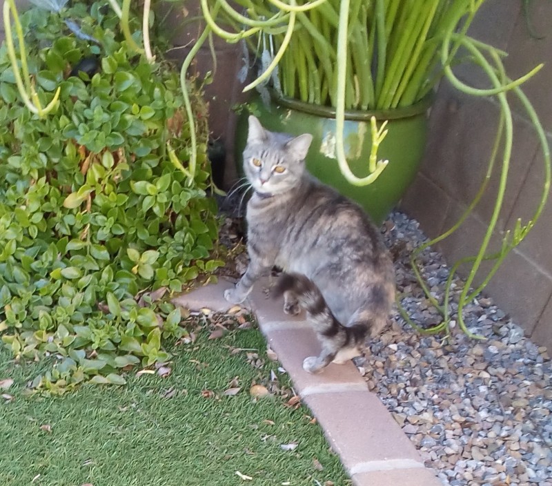 Pcats224 uploaded   2 year/s ago