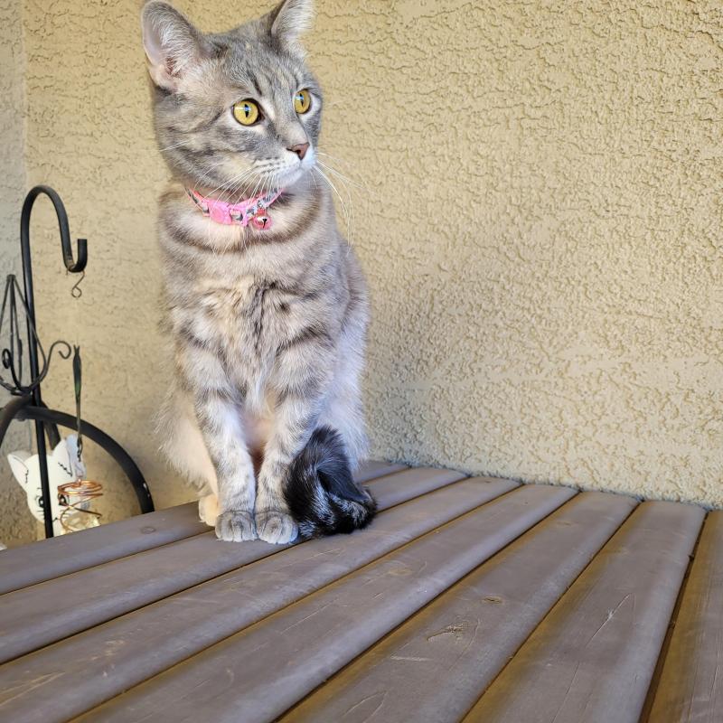 Pcats224 uploaded   1 year/s ago