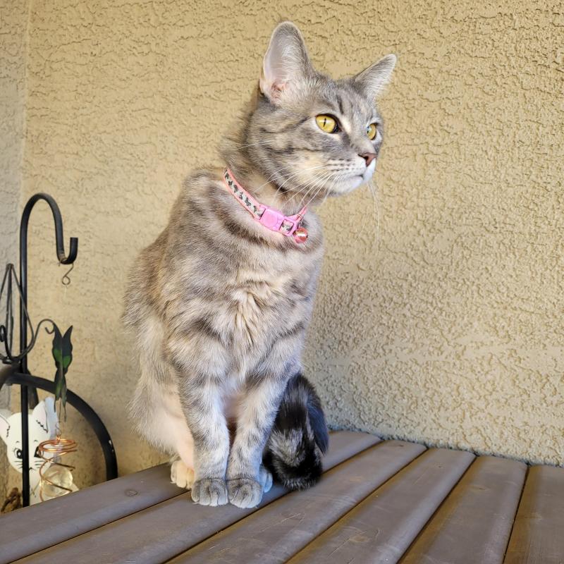 Pcats224 uploaded   1 year/s ago