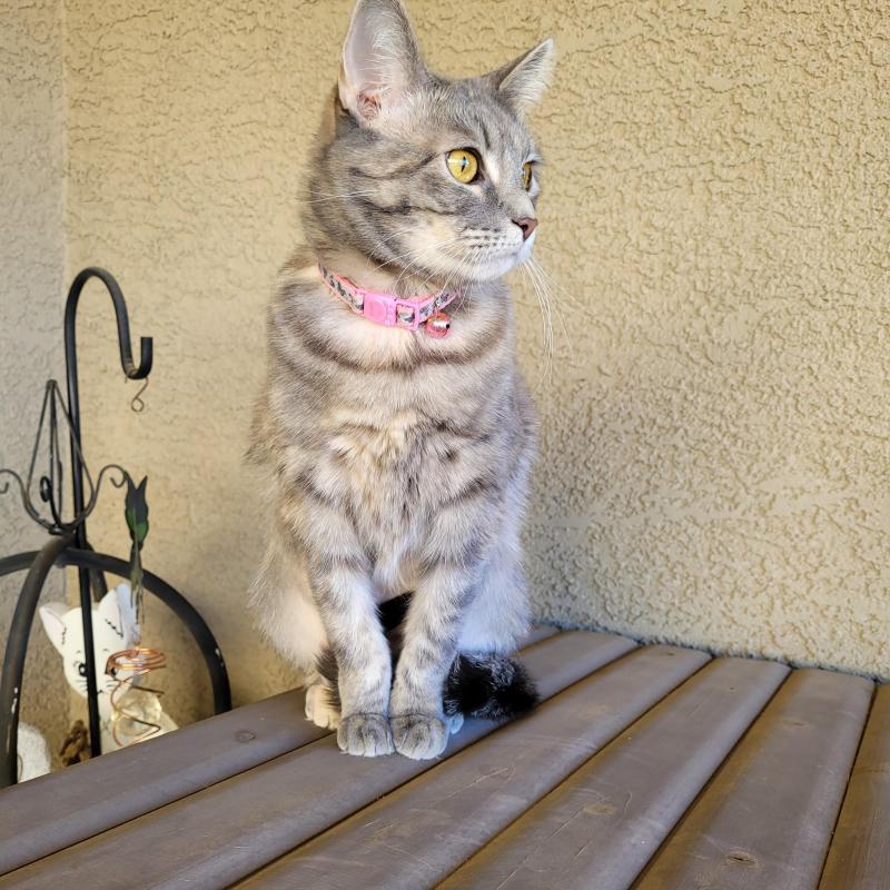 Pcats224 uploaded   1 year/s ago