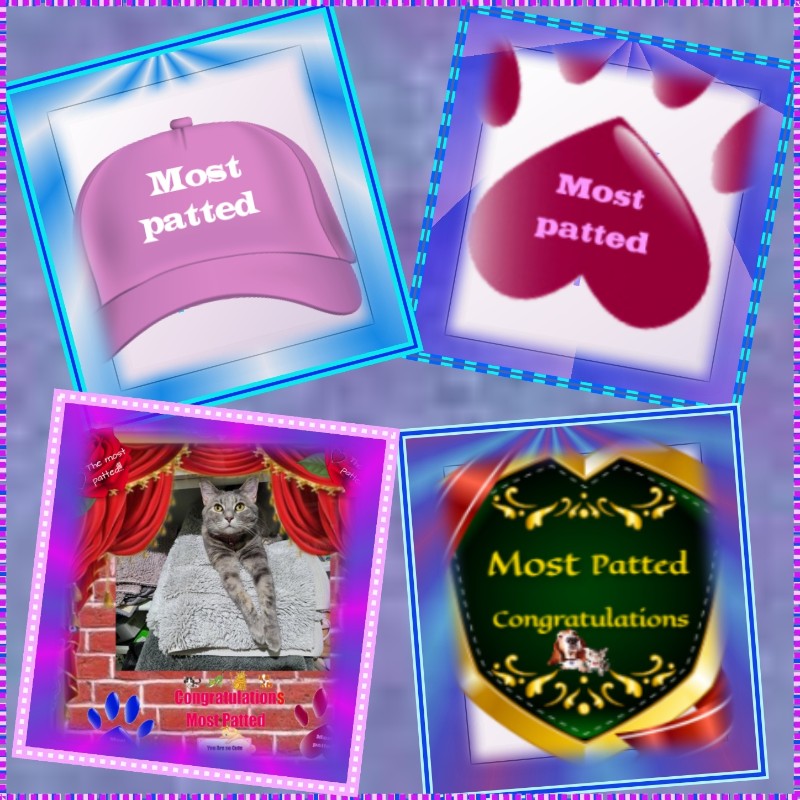 Jenny of the Pcats224 family