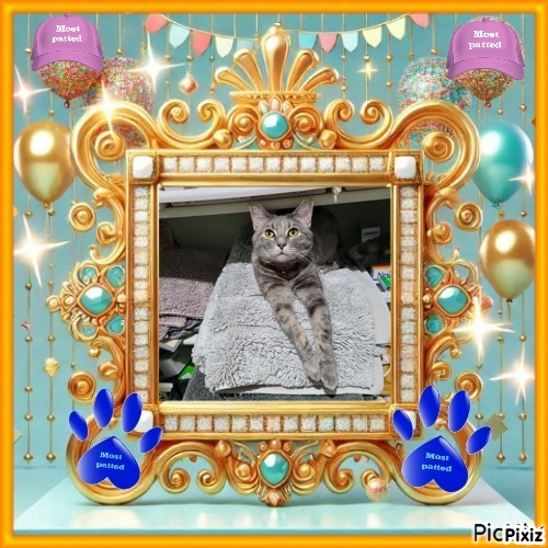 Jenny of the Pcats224 family