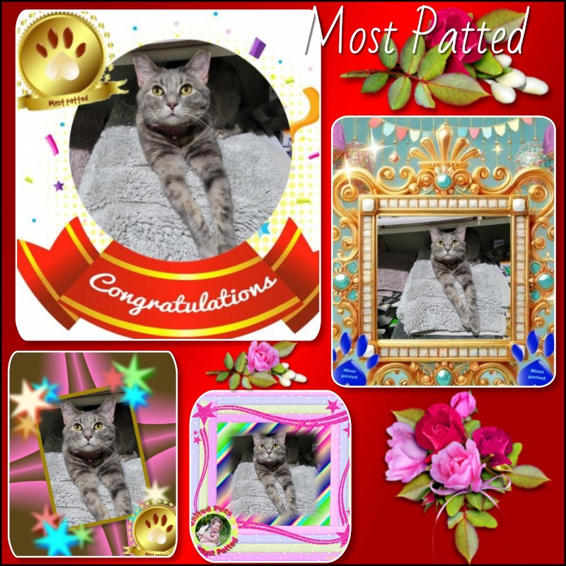 Jenny of the Pcats224 family