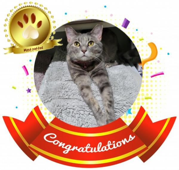 Jenny of the Pcats224 family