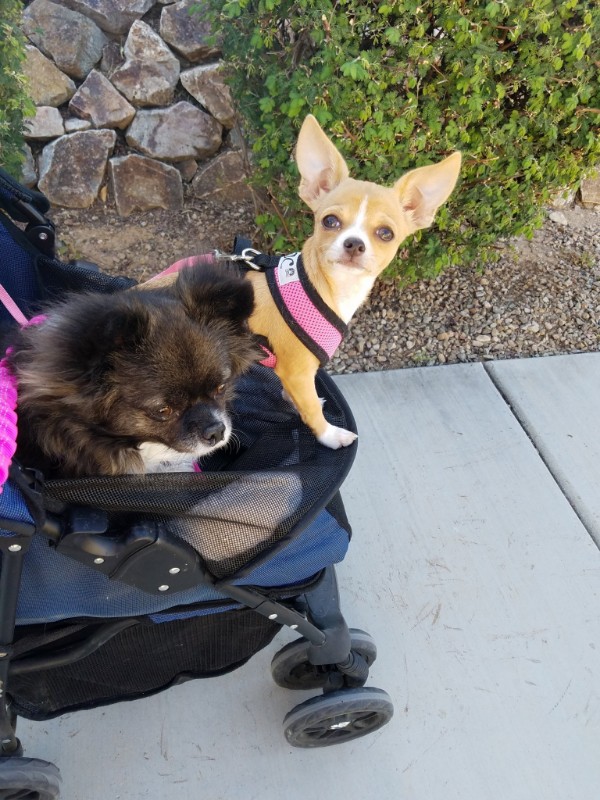 Pcats224 uploaded   3 year/s ago