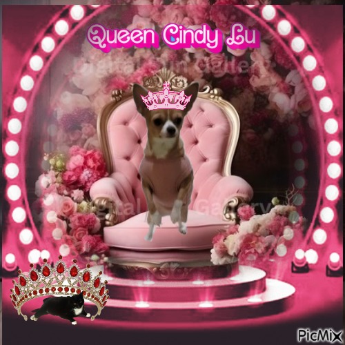 Cindy Lu of the Pcats224 family