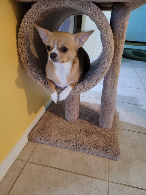 Pcats224 uploaded   2 year/s ago