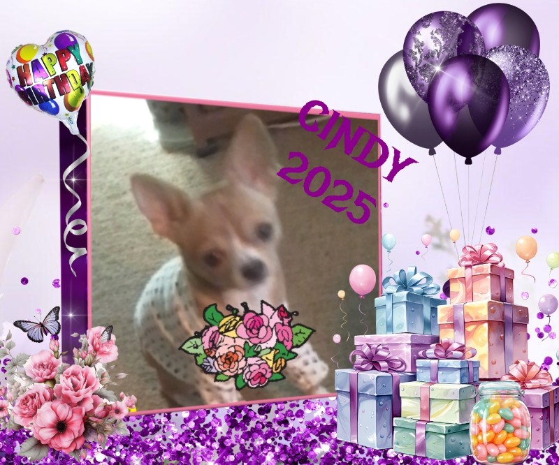 Cindy Lu of the Pcats224 family