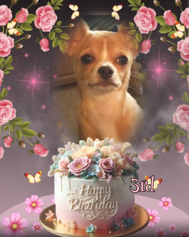 Cindy Lu of the Pcats224 family