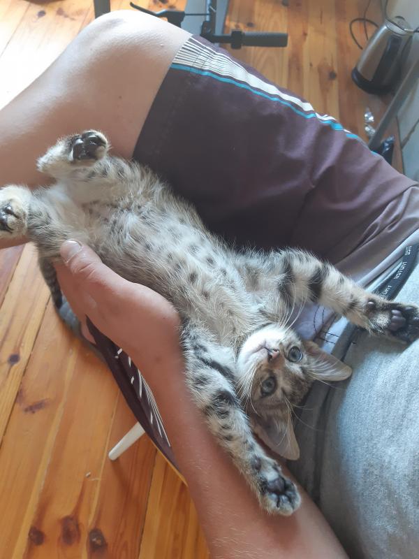 Raimis uploaded   3 year/s ago