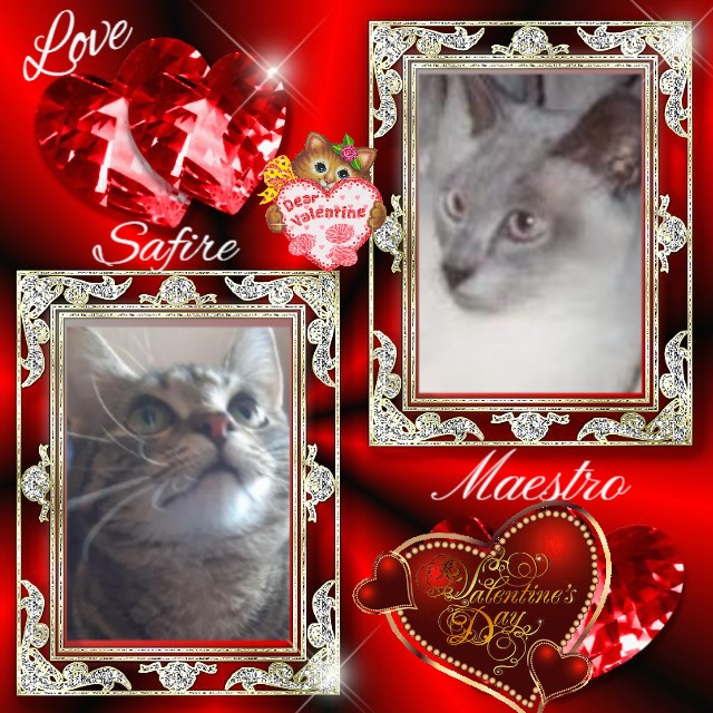 Safire of the Raimis family