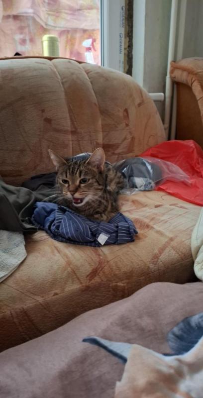 Raimis uploaded   1 year/s ago