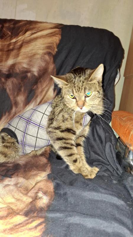 Raimis uploaded   1 year/s ago