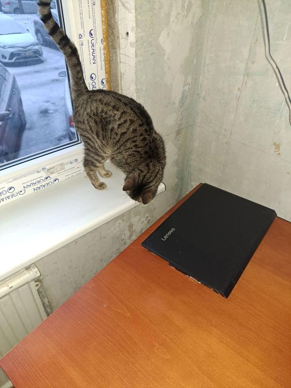 Raimis uploaded   1 year/s ago