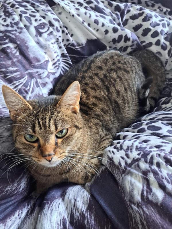 Raimis uploaded   1 year/s ago