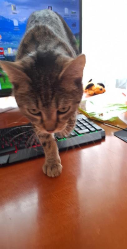 Raimis uploaded   1 year/s ago