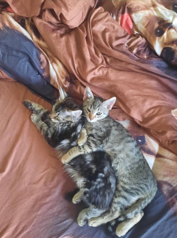 Raimis uploaded   1 year/s ago