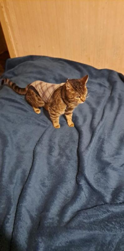 Raimis uploaded   1 year/s ago