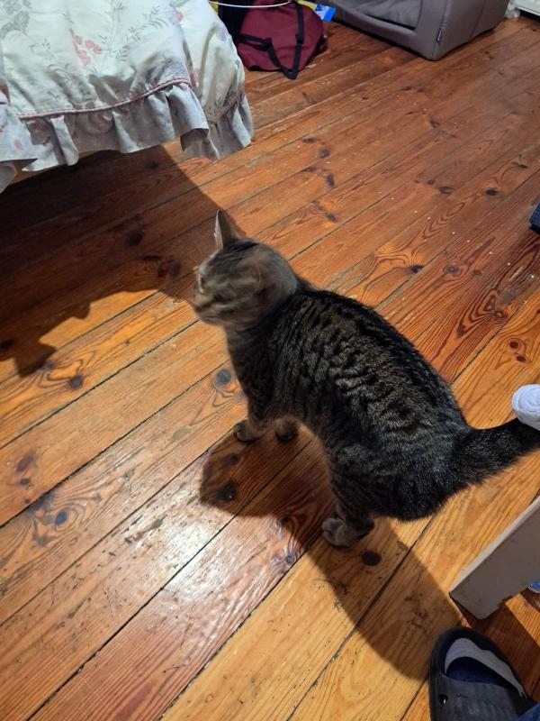 Raimis uploaded   1 year/s ago