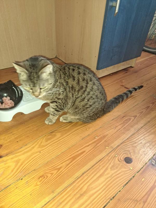 Raimis uploaded   1 year/s ago