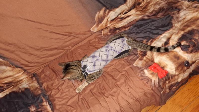 Raimis uploaded   1 year/s ago