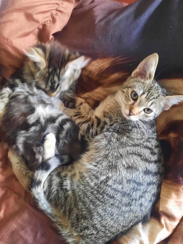 Raimis uploaded   3 year/s ago