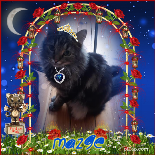 Mazge of the Raimis family