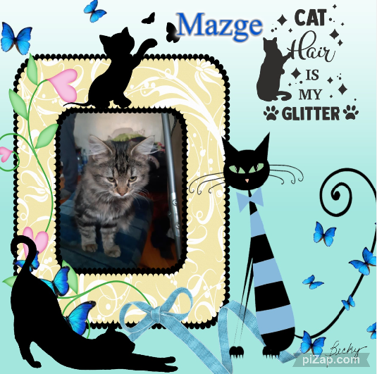 Mazge of the Raimis family