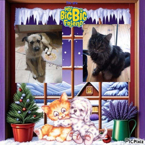 Mazge of the Raimis family