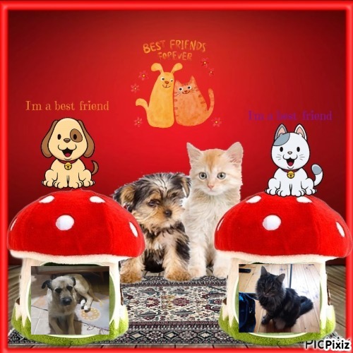 Mazge of the Raimis family