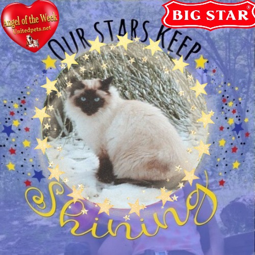 Rangoon uploaded   98  day/s  ago