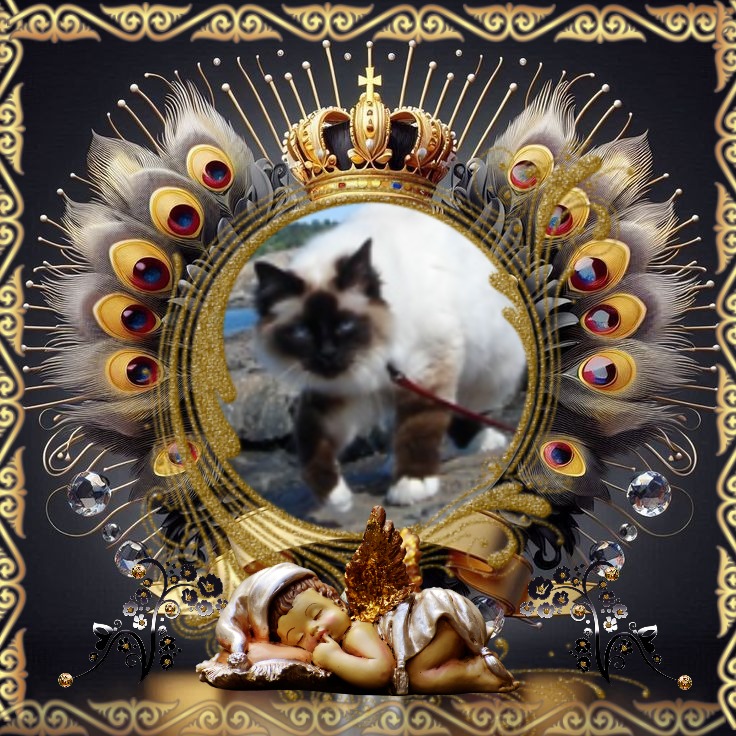 Rangoon uploaded   99  day/s  ago