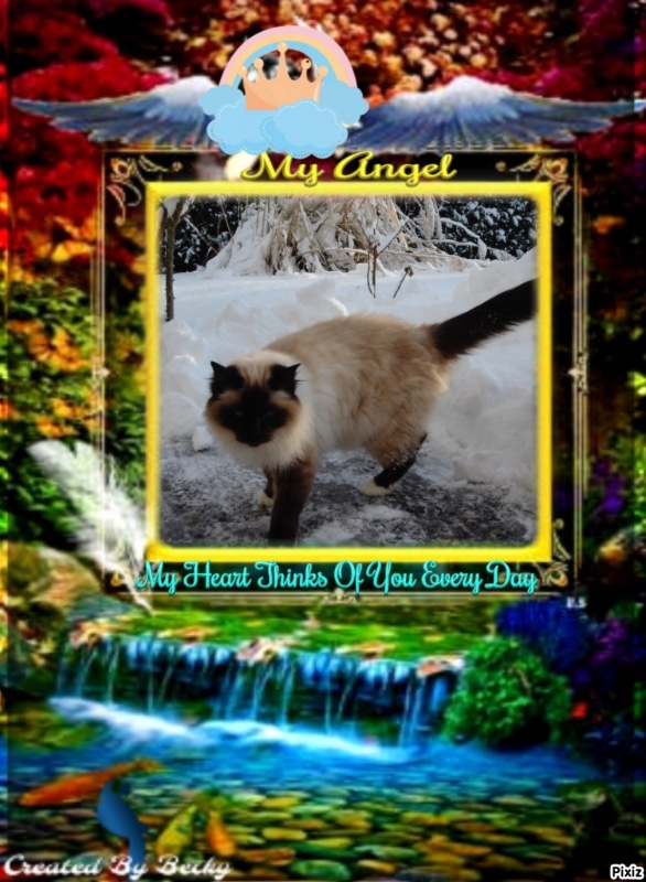 Rangoon uploaded   99  day/s  ago